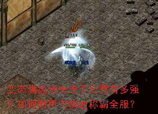 ��̬����������Ӿ����ж�ǿ��������������ٳư�ȫ����