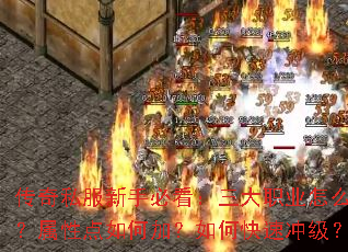 传奇私服新手必看:三大职业怎么选?属性点如何加?如何快速冲级? 传奇私服新手必看:三大职业怎么选?属性点如何加?如何快速冲级?