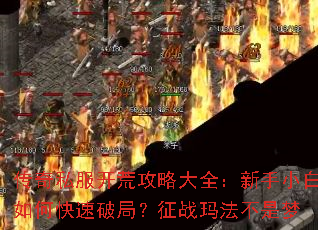 ����˽�����Ĺ��Դ�ȫ������С����ο����ƾ֣���ս�귨������