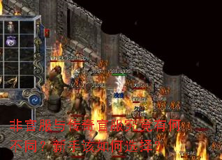 �ǹٷ��봫��ٷ������кβ�ͬ�����ָ����ѡ��