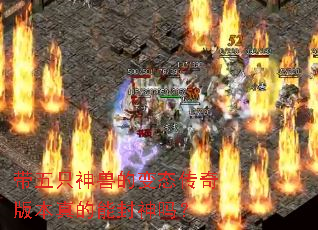 ����ֻ���޵ı�̬����汾����ܷ�����