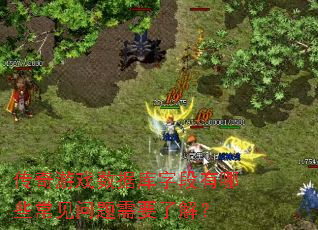 传奇游戏数据库字段有哪些常见问题需要了解? 传奇游戏数据库字段有哪些常见问题需要了解?