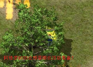������BOSS�������Щ����װ����