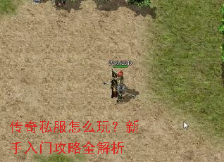 ����˽����ô�棿�������Ź���ȫ����
