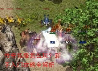 ����˽����ô�棿�������Ź���ȫ����
