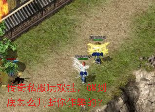 传奇私服玩双挂,GM到底怎么判断你作弊的? 传奇私服玩双挂,GM到底怎么判断你作弊的?