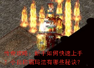 ���湥�ԣ�������ο������֣�С�׳ư��귨����Щ�ؾ���
