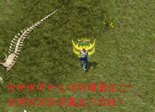 传奇世界什么怪物爆屠龙刀?如何高效获取屠龙刀攻略? 传奇世界什么怪物爆屠龙刀?如何高效获取屠龙刀攻略?