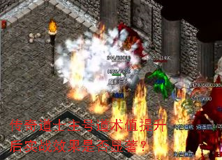 传奇道士主号道术值提升后实战效果是否显著? 传奇道士主号道术值提升后实战效果是否显著?