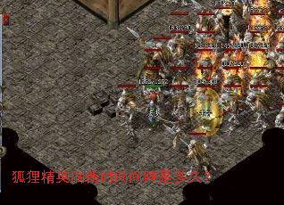 狐狸精英刷新时间间隔是多久? 狐狸精英刷新时间间隔是多久?