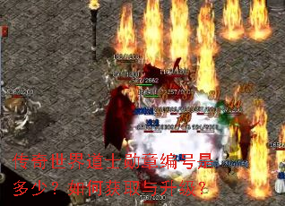 ���������ʿѫ�±���Ƕ��٣���λ�ȡ��������