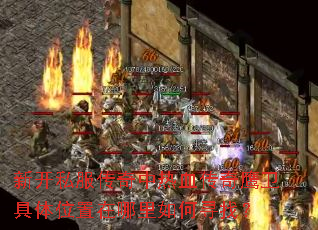 新开私服传奇中热血传奇鹰卫具体位置在哪里如何寻找? 新开私服传奇中热血传奇鹰卫具体位置在哪里如何寻找?