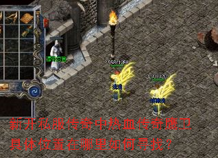 新开私服传奇中热血传奇鹰卫具体位置在哪里如何寻找? 新开私服传奇中热血传奇鹰卫具体位置在哪里如何寻找?