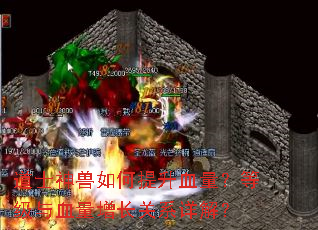 ��ʿ�����������Ѫ�����ȼ���Ѫ��������ϵ��⣿
