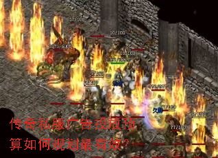 ����˽�����Ͷ��Ԥ����ι滮����Ч��