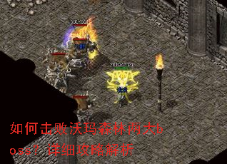 ��λ�������ɭ������boss����ϸ���Խ���