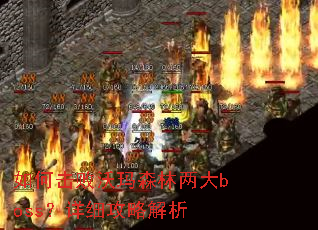 ��λ�������ɭ������boss����ϸ���Խ���