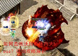 ��λ�������ɭ������boss����ϸ���Խ���