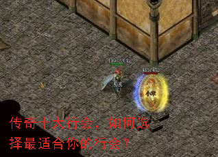 ����ʮ���лᣬ���ѡ�����ʺ�����л᣿