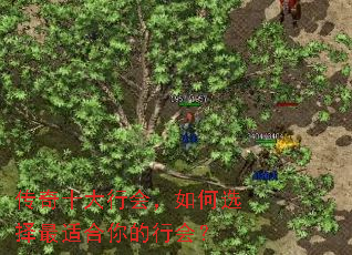 ����ʮ���лᣬ���ѡ�����ʺ�����л᣿