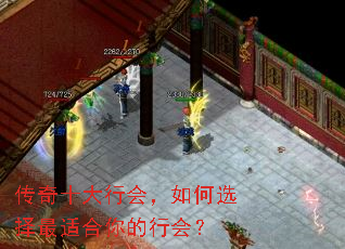����ʮ���лᣬ���ѡ�����ʺ�����л᣿