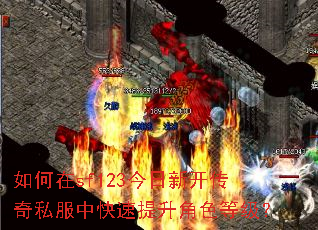 如何在sf123今日新开传奇私服中快速提升角色等级? 如何在sf123今日新开传奇私服中快速提升角色等级?