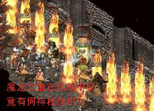 魔龙之血在私服中究竟有何神秘作用? 魔龙之血在私服中究竟有何神秘作用?