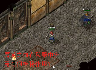 魔龙之血在私服中究竟有何神秘作用? 魔龙之血在私服中究竟有何神秘作用?