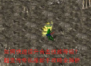 如何快速提升合击技能等级?超变传奇私服新手攻略全解析 如何快速提升合击技能等级?超变传奇私服新手攻略全解析
