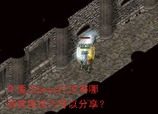 ţħ��boss������Щʵ�ü��ɿ��Է�����