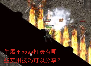 ţħ��boss������Щʵ�ü��ɿ��Է�����