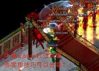 ţħ��boss������Щʵ�ü��ɿ��Է�����