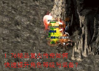 1.76��Ʒ���Ŵ�����ο���������ɫ�ȼ���װ����