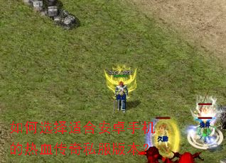 如何选择适合安卓手机的热血传奇私服版本? 如何选择适合安卓手机的热血传奇私服版本?