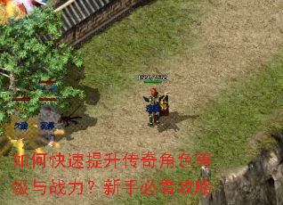 如何快速提升传奇角色等级与战力?新手必看攻略 如何快速提升传奇角色等级与战力?新手必看攻略