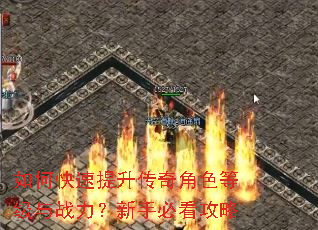 如何快速提升传奇角色等级与战力?新手必看攻略 如何快速提升传奇角色等级与战力?新手必看攻略