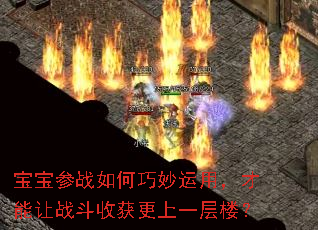 宝宝参战如何巧妙运用,才能让战斗收获更上一层楼? 宝宝参战如何巧妙运用,才能让战斗收获更上一层楼?