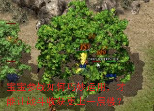 宝宝参战如何巧妙运用,才能让战斗收获更上一层楼? 宝宝参战如何巧妙运用,才能让战斗收获更上一层楼?