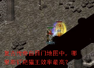 复古传奇白日门地图中,哪里刷钉耙猫王效率最高? 复古传奇白日门地图中,哪里刷钉耙猫王效率最高?