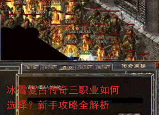 ��ѩ���Ŵ�����ְҵ���ѡ�����ֹ���ȫ����