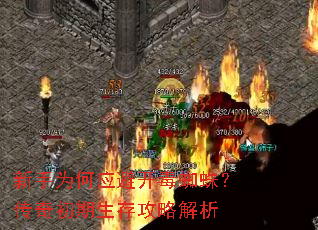 ����Ϊ��Ӧ�ܿ���֩�룿����������湥�Խ���