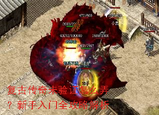 复古传奇未验证怎么弄?新手入门全攻略解析 复古传奇未验证怎么弄?新手入门全攻略解析