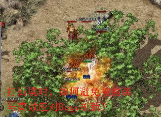 ��þ�ʱ����α��ⱻ͵Ϯ���ЧӦ��Bossˢ�£�