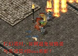 ��þ�ʱ����α��ⱻ͵Ϯ���ЧӦ��Bossˢ�£�