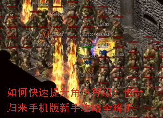 如何快速提升角色等级?传奇归来手机版新手攻略全解析 如何快速提升角色等级?传奇归来手机版新手攻略全解析