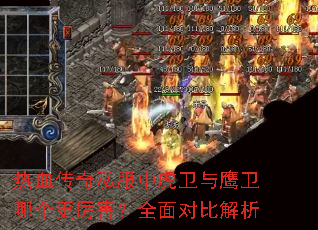 ��Ѫ����˽���л�����ӥ���ĸ���������ȫ��ԱȽ���