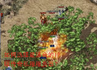���ѡ�����ʺϵ�IP�洫��˽����������