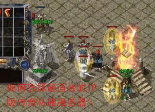 ���ѡ�����ʺϵ�IP�洫��˽����������
