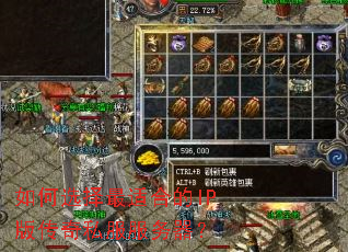 ���ѡ�����ʺϵ�IP�洫��˽����������