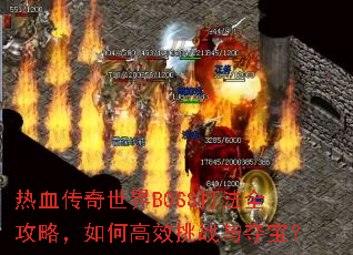 ��Ѫ��������BOSS��ȫ���ԣ���θ�Ч��ս��ᱦ��